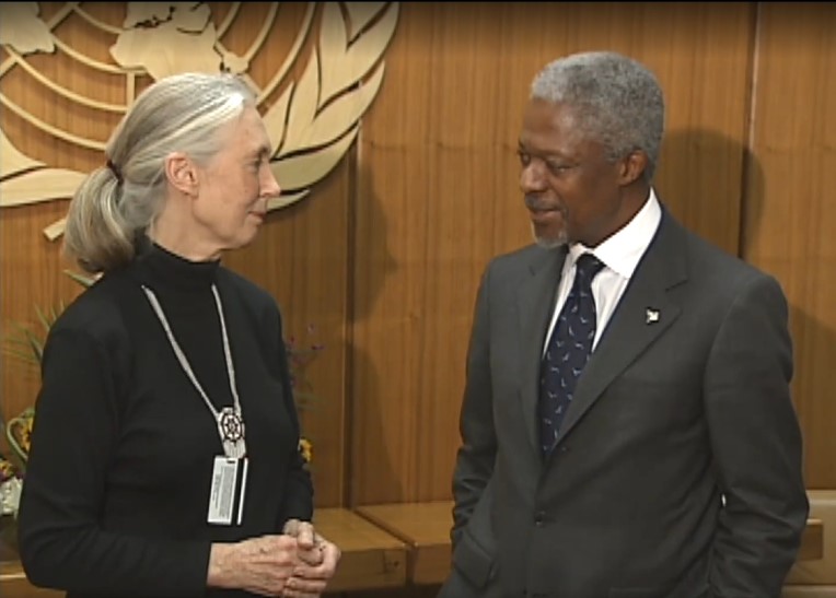 Jane Goodall becoming "Messenger of Peace"