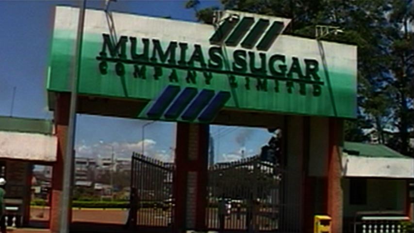 KENYA / SUSTAINABLE SUGAR