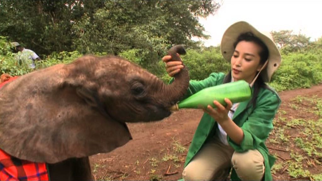 UNEP / LI BINGBING - POACHING